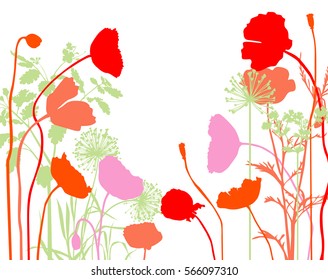 Poppy meadow