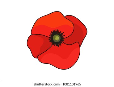Poppy on white background. Vector illustration.