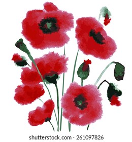 Poppy pattern. Watercolor