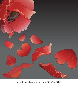 poppy with petals.Vector Illustration