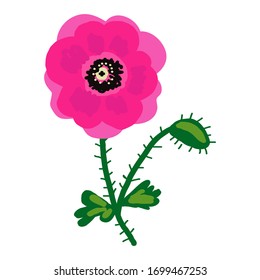 The poppy is pink. Flower vector image. For decoration, postcards.
