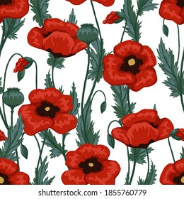 Poppy plants seamless pattern. Hand drawn vector floral illustration. Abstract botanical background. Wildflowers colored sketches. Vintage design for print, fabric, textile, wrapping, wallpaper, decor