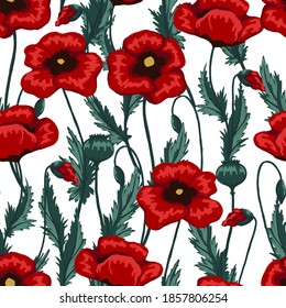 Las plantas de amapola son un patrón sin fisuras. Ilustración floral vector dibujada a mano. Resumen del fondo botánico. Dibujos de flores silvestres de color. Diseño vintage para impresión, tela, textil, envoltura, papel pintado, decoración
