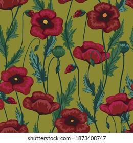 Poppy plants seamless pattern. Hand drawn vector floral illustration. Abstract botanical background. Wildflowers colored sketches. Vintage design for print, fabric, textile, wrapping, wallpaper, decor