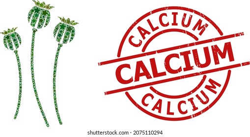 Patrón de estrellas de las plantas de amapola y sello de calcio. Sello rojo con estilo rayado y palabra calcio dentro del círculo. El collage de las plantas de amapola se combina con objetos de estrella plana al azar.