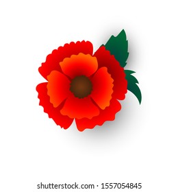 Poppy red flower set, vector illustration,  floral background for textile, printing, summer dress, Remembrance day, anzac symbol of peace, garden bouquet shop ad, botanical colorful wallpaper, bloom
