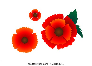 Poppy red flower set, vector illustration,  floral background for textile, printing, summer dress, Remembrance day as symbol of peace, garden bouquet shop ad, botanical colorful wallpaper, blooming