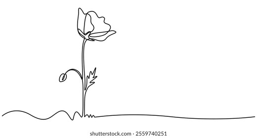 Poppy, Remembrance Day or Veterans Day Continuous Line Drawing with Editable Stroke and Copy Space, Elegant Continuous Line Drawing of Poppy Flower in Black with Red Brushstrokes for Petals.