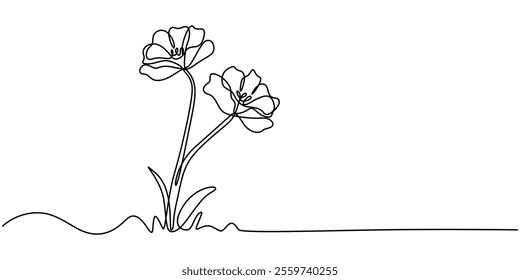 Poppy, Remembrance Day or Veterans Day Continuous Line Drawing with Editable Stroke and Copy Space, Elegant Continuous Line Drawing of Poppy Flower in Black with Red Brushstrokes for Petals.