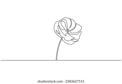 Poppy, Remembrance Day or Veterans Day Continuous Line Drawing, One line poppy flower drawing, continuous single line drawing of red wild flower, colored corn poppy line art vector illustration.