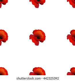 Poppy seamless pattern