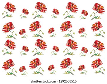 Poppy seamless pattern on the white background