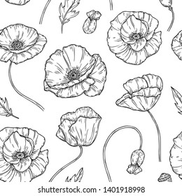 Poppy seamless pattern. Poppies flower sketch drawing wall artwork plant poppy flower bud planting floral nature vector fabric texture