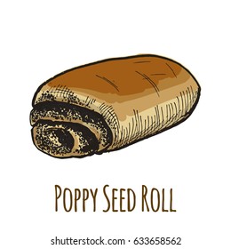 Poppy seed roll, sweet bun, full color hand drawn vector illustration