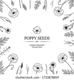 Poppy seeds design. Hand drawn summer wild flowers frame. Vector illustration in sketch stile