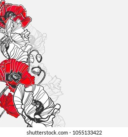 poppy vector frame card flower