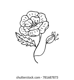 Poppy vector illustration. Doodle style. Design, print, decor, textile, paper
