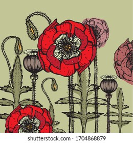 Adormidera. Ilustración vectorial. Gráficos estilizados de una flor brillante y hermosa. Uso en materiales publicitarios, manuales infantiles, decoración interior.