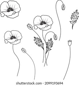 Poppy vector outline illustration, august birth month flower clipart set