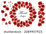 Poppy watercolor set. A wreath of poppies and poppies flowers for design.