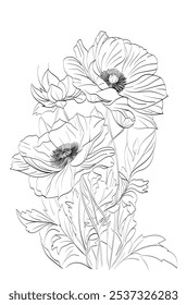 Poppy's Grace, Captured in Lines