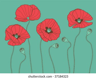 Poppy's - vector illustration