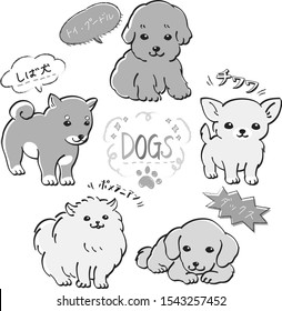 Popular 5 types of dog set Monochrome puppy Toy poodle Dach Pomeranian Shiba Inu Chihuahua