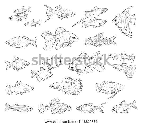 白い背景に人気の水族館魚 カラー用のモノクロ黒イラストセット のベクター画像素材 ロイヤリティフリー