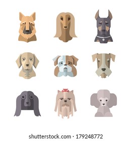 Popular breeds of dogs. 9 flat icons isolated on white