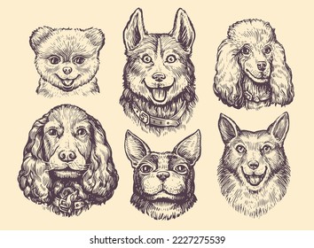 Popular breeds of dogs sketch set. Cute dog or puppy characters design collection. Funny pet animals vector illustration
