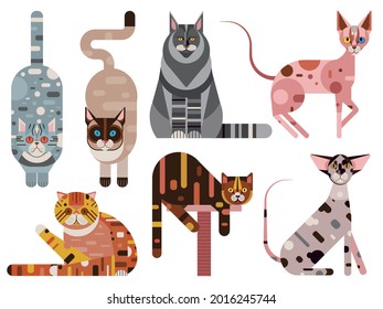 Popular cat breeds geometric set. Domestic kitties in different poses. Feline collection with Main coon, Oriental, Sphynx, Persian, Exotic Short-hair, Siamese and Tortoiseshell cats.
