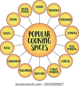 popular cooking spices around the world, vector diagram infographics