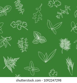 Popular culinary herbs seamless pattern. realistic style. icon outline sketch on green. Basil, coriander, mint, rosemary, basil, sage, thyme, parsley silhouette etc. For cosmetics health care eco