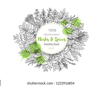 Popular culinary herbs and spice, banner. Vector illustration. Bay leaf, lemongrass, fennel, dill, cilantro and chives. Thyme, lemon balm, tarragon etc. Seasoning food design