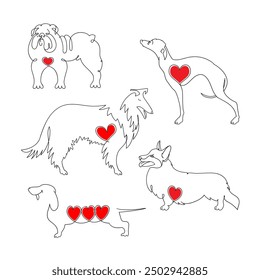 Popular dog breeds. A large set of five dog breeds drawn in one line. Dachshund Collie Corgi, Bulldog and Hound