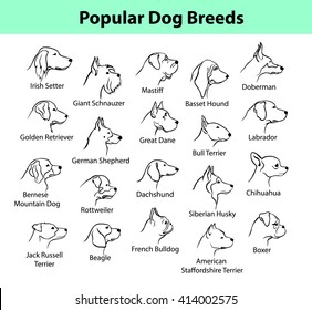 Popular Dog Breeds Profile Faces. Dog Silhouette Portraits Set. 