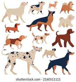 Popular dog breeds set. Collection of big and small puppies. Different types of dogs. Pedigreed animals chart with pug, poodle, German shepherd, bulldog, doberman, Labrador, dachshund and beagle.