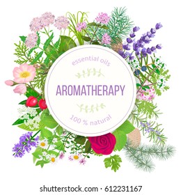 Popular essential oil plants label set. round badge with text. Peppermint, lavender, sage, melissa, Rose, Geranium, Chamomile, oregano etc For cosmetics spa health care aromatherapy, advertising, tag