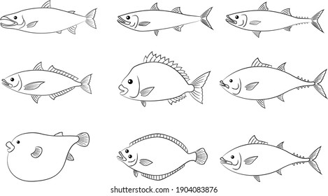 Popular Fish In Japanese Food Vector