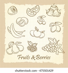 Popular hand drawn fruits and berries on vintage notebook page. Vector illustration