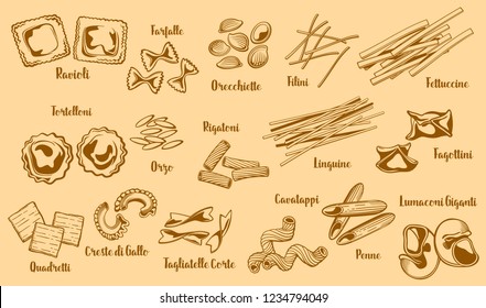 Popular italian pasta types. Vector ravioli and farfalle, orecchiette and filini, fettuccine and tortelloni, orzo and rigatoni, linguine and fagottini. Quadretti,creste di gallo, cavatappi and penne