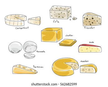 popular kind of cheese vector set hand drawn art illustration