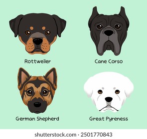 Popular large dog breeds Face character icon illustration