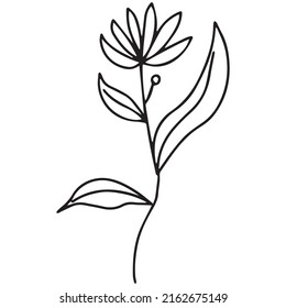 Popular outline leaves isolated on white background