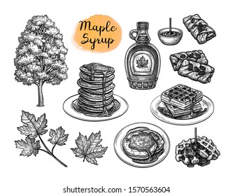 Popular pastries with maple syrup topping. Tree and leaf. Collection of ink sketches isolated on white background. Hand drawn vector illustration. Retro style.