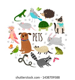 Popular pets round banner design. Vector cartoon animals isolated on white background. Illustration of pet animals, dog and hedgehog, parrot and raccoon