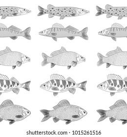 Popular river fish. The fish are drawn parallel to each other. Pike, pike perch, crucian carp, carp, perch. Sketch, pattern, vector illustration.
