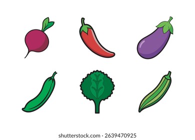 Popular six vegetables vector set including Beetroot, Chili Pepper, Eggplant, Kale, Lady’s Finger and Green Bean.