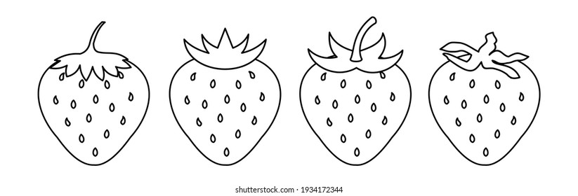 popular strawberry fruit, popular strawberry icon, vector