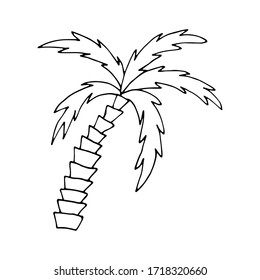 Popular symbol of summer vacation are sun. Black and white line art.  Vector doodle illustration. 